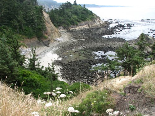 Middle Cove